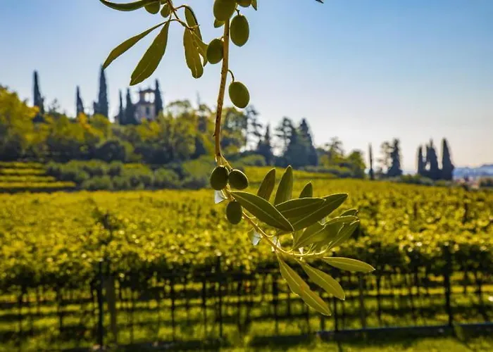 Alojamento de Acomodação e Pequeno-almoço Ca' Bernai