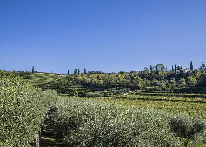 Ca' Bernai Alojamento de Acomodação e Pequeno-almoço 4*