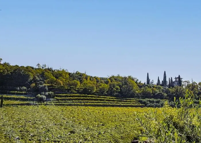 Bed & Breakfast Ca' Bernai 4*