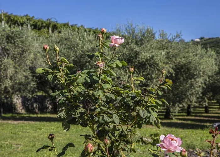 Ca' Bernai 4* San Pietro in Cariano